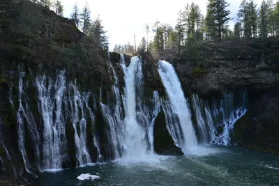 DSC_5946 (Large).JPG